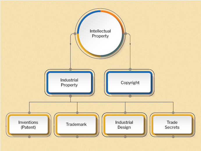 IPR in India