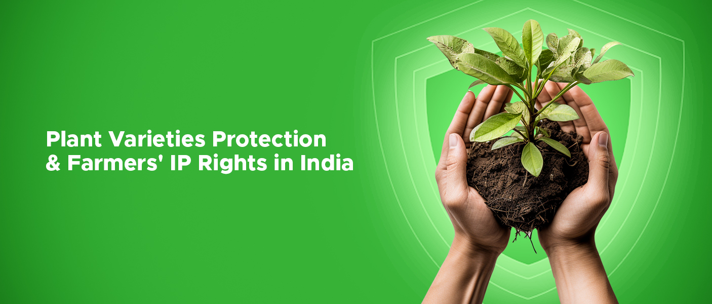 Plant Varieties Protection and Farmers’ IP Rights in India